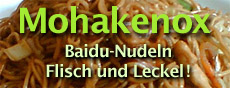 Baidu-Nudeln