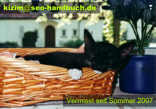 Kizim - Die Seo-Katze