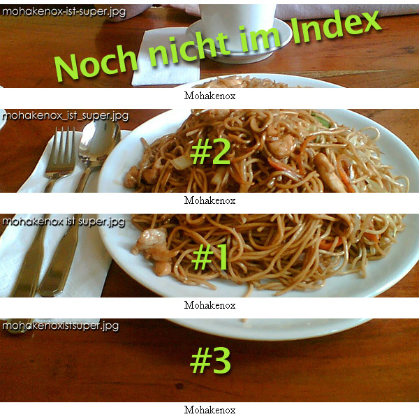 Baidu-Nudeln