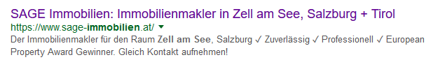 Google Snippet